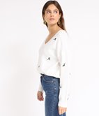 Pull hirondelle Jacob 