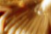 DORÉ