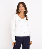 Pull col V Hirondelle