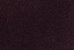 PRUNE
