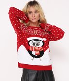 Pull de Noël